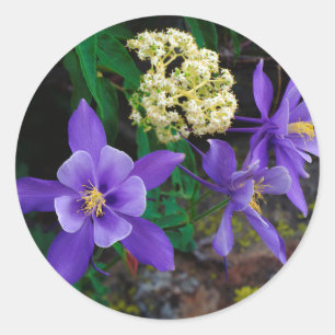 Mutante Akelei-Wildblumen Runder Aufkleber