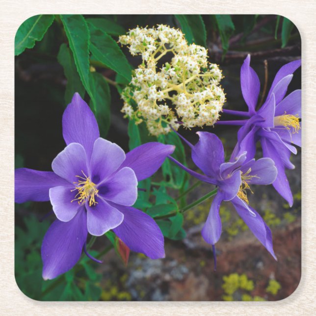 Mutante Wildblumen Rechteckiger Pappuntersetzer (Vorderseite)