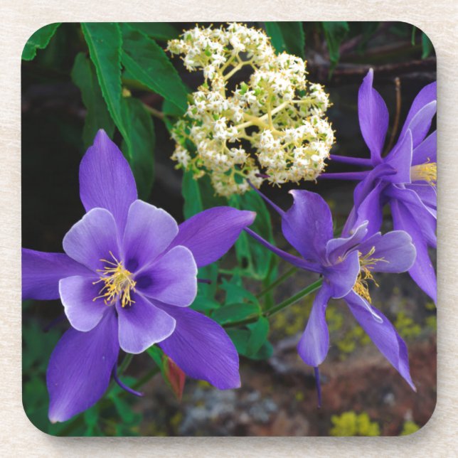 Mutante Wildblumen Untersetzer (Vorderseite)