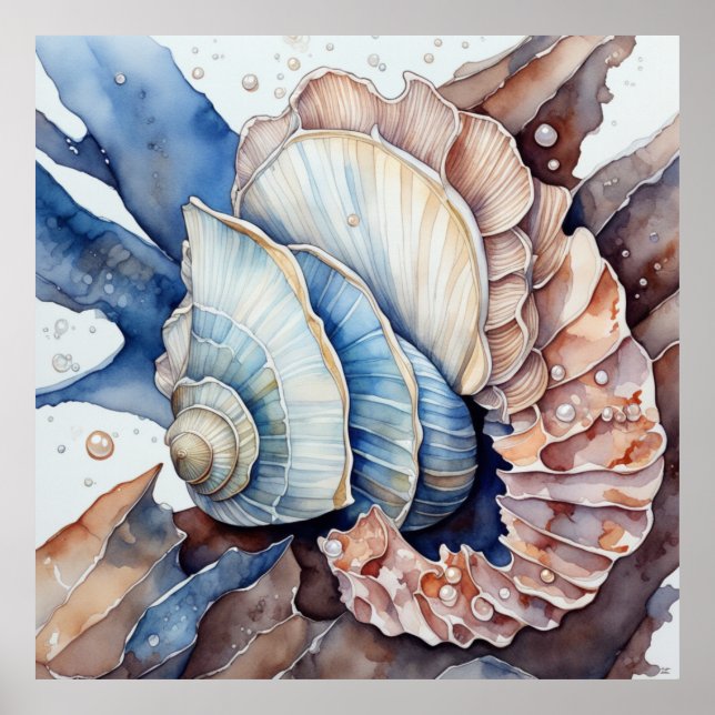 Mute Red and Blue Conch Muschel Poster (Vorne)