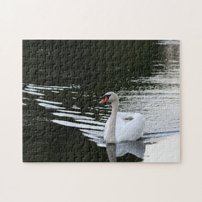 Mute Swan (Horizontal)