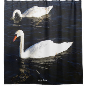Mute Swan Duschvorhang