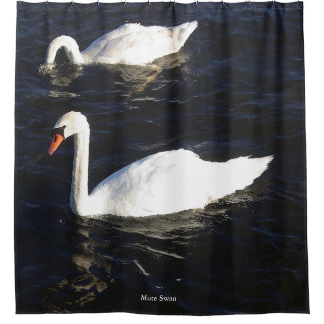 Mute Swan Duschvorhang (Vorderseite)