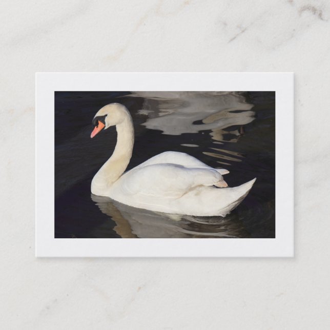 Mute Swan II (grenzt) Visitenkarte (Vorderseite)