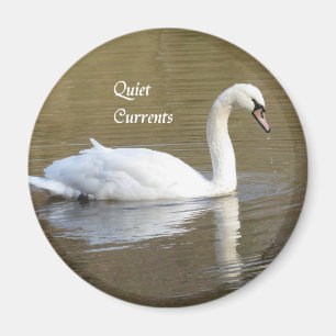 Mute Swan Relaxing Magnet