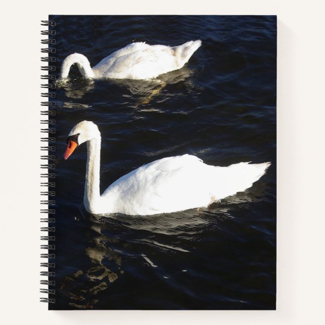 Mute Swans Notebook Notizbuch (Vorderseite)