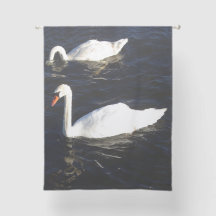 Mute Swans rideau