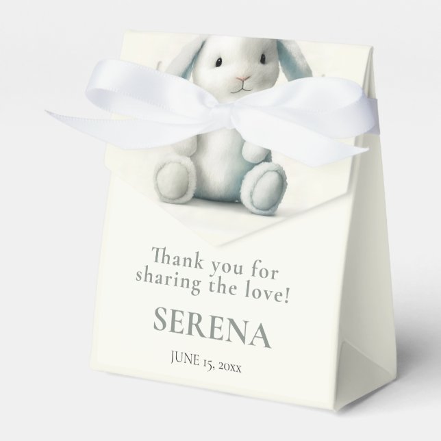 Muted getufft Bunny BABY SHOWER Geschenkschachtel (Vorderseite)