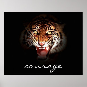 Mutiger brüllender Tiger im Schatten Poster Druck