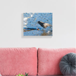 Mutiny Bay Crow Branch Blue Water Fotografie Leinwanddruck