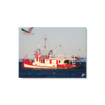 Mutiny Bay Schlepper Flying Bird Fotografie