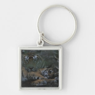Mutter-bengalischer Tiger mit CUB Schlüsselanhänger