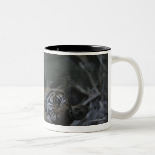 Mutter-bengalischer Tiger mit CUB Zweifarbige Tasse