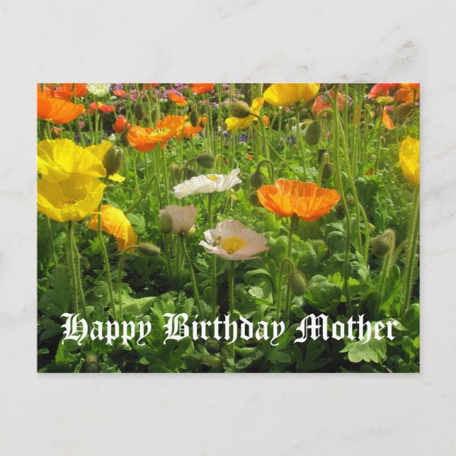 Mutter Birthday Poppies Postkarte (Vorderseite)