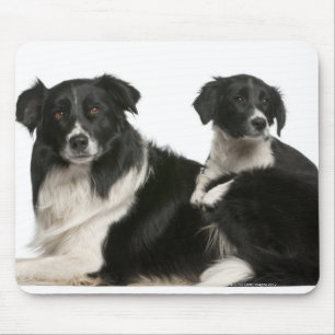 Mutter-Border-Collie und -welpe Mousepad