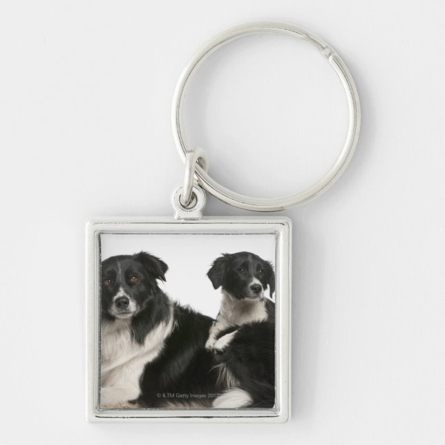 Mutter-Border-Collie und -welpe Schlüsselanhänger (Vorne)