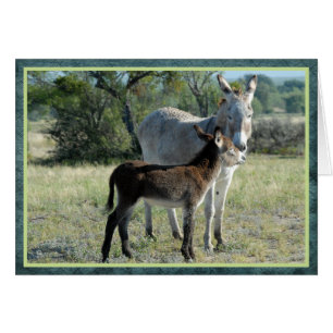 Mutter Burro und Baby