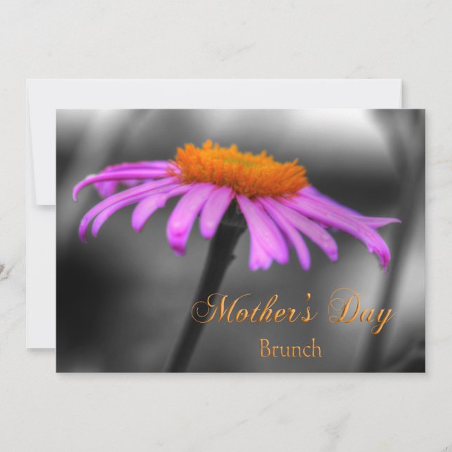 Mütter Day Brunch Lila und Orange Coneflower Karte (Vorderseite)
