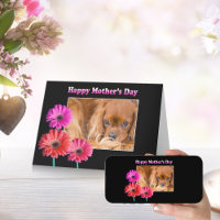 Mutter Day Cavalier King Charles Daisies Card