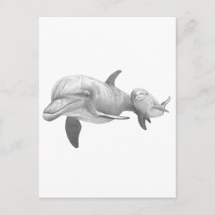 MUTTER DOLPHINS-LIEBE POSTKARTE