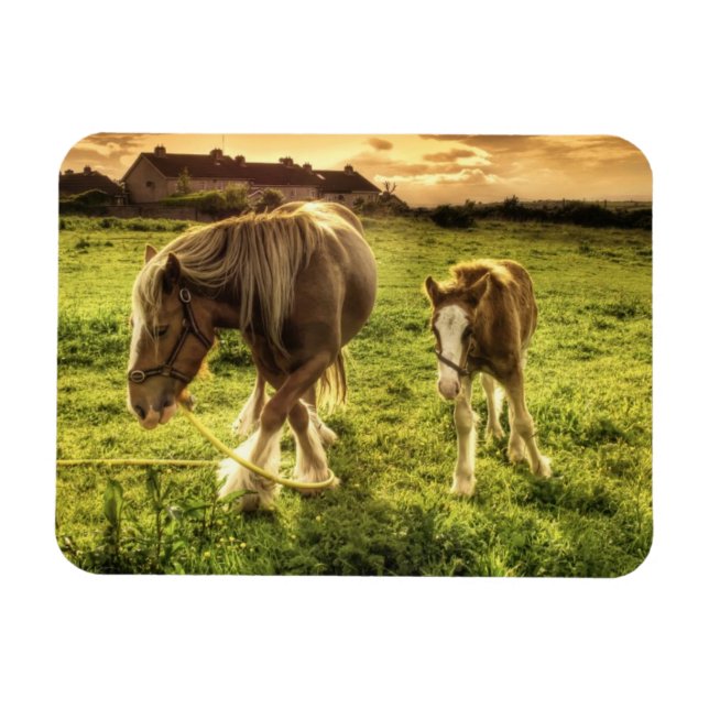 Mutter & Foal Pferd Magnet (Horizontal)
