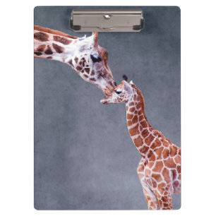 Mutter Getty Bild- u. Baby-Giraffe Klemmbrett