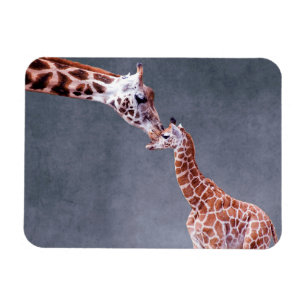 Mutter Getty Bild-  u. Baby-Giraffe Magnet