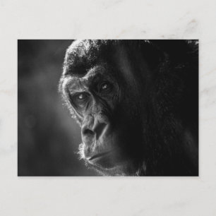 Mutter Gorilla Postcard Postkarte