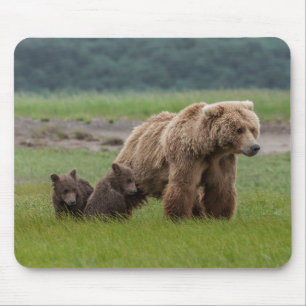 Mutter-Grizzlybärin mit Zwillingsjungen Mousepad