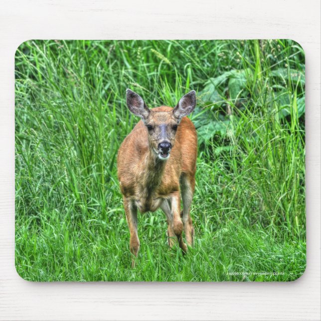 Mutter Hirsche auf Ranch Wildlife Foto Mousepad (Vorne)