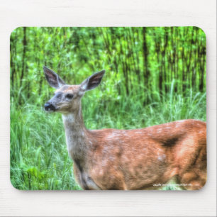 Mutter Hirsche auf Ranch Wildlife Foto Mousepad