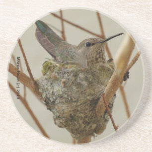 Mutter Hummingbird Untersetzer