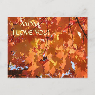 MUTTER ICH LIEBE DICH! Postkarte Herbstblätter Pos