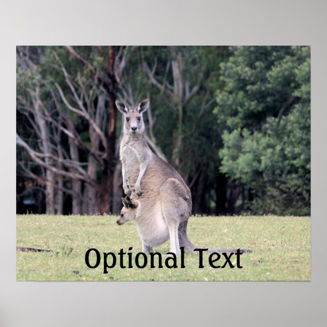 Mutter Kangaroo mit Baby Joey in ihrem Beutel Poster (Vorne)