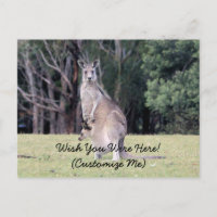 Mutter Kangaroo mit Baby Joey in ihrem Beutel