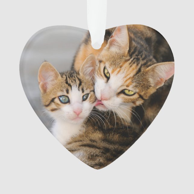 Mutter Katze Lieben Niedlich Kätzchen Acrylschmuck Ornament (Vorderseite)