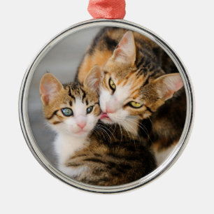 Mutter Katze Lieben Niedlich Kitten Foto - Silbernes Ornament