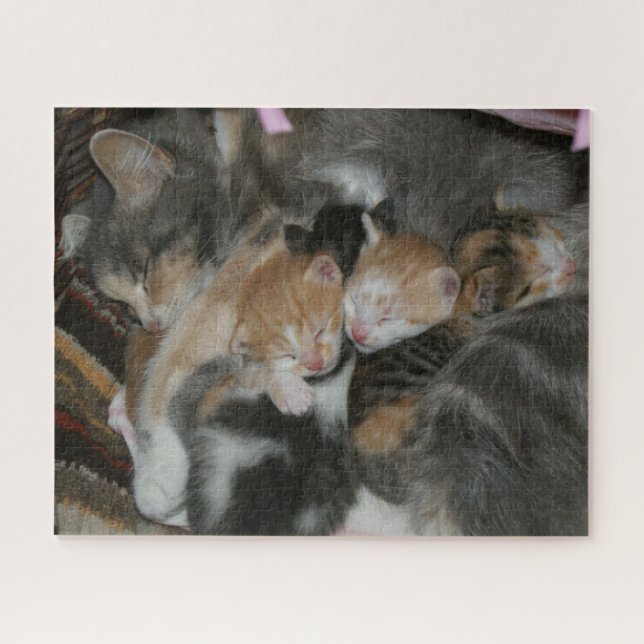 Mutter Katze und Baby Kittens (Horizontal)
