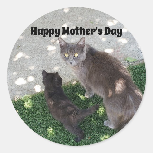 Mutter Katze und Kitten Foto Happy Mother Day Runder Aufkleber (Vorderseite)