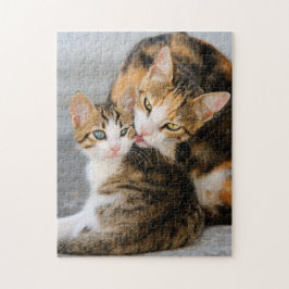Mutter Katzen Lieben Niedlich Baby Kitten Tier Fot