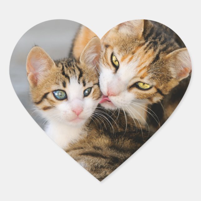 Mutter Katzen Lieben Niedlich Baby Kitten Tier Fot Herz-Aufkleber (Vorderseite)