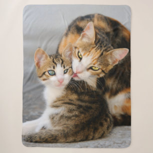 Mutter Katzen Lieben Niedlich Baby Kitten Tier Fot Sherpadecke