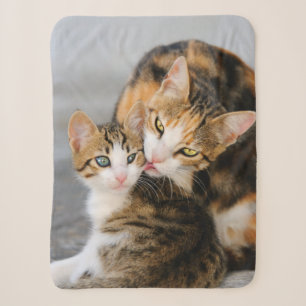 Mutter Katzen Lieben Niedlich Baby Kitten Tier Fot Sherpadecke
