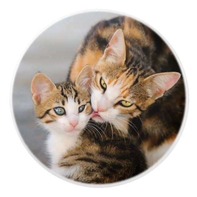 Mutter Katzen Lieben Niedlich Kitten Keramikknauf (Vorderseite)