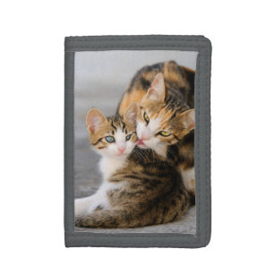 Mutter-Katzen-Lieben niedliches Kätzchen, Trifold Geldbörse