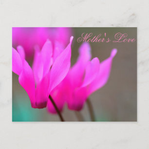 Mutter Liebe 2 Postkarte