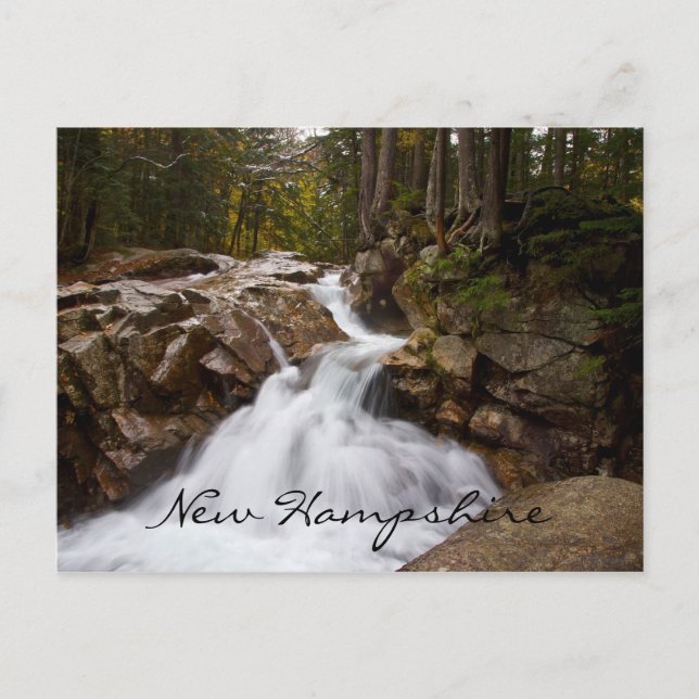 Mutter Natur, New Hampshire Postkarte (Vorderseite)