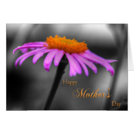 Mütter Tag Lila und Orangenblume