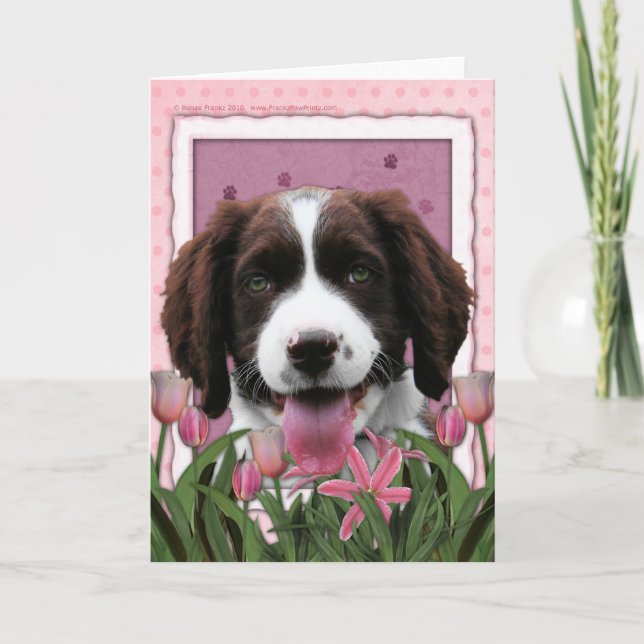 Mutter-Tag - rosa Tulpe-englischer SpringerSpaniel Karte (Vorderseite)