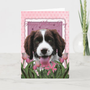 Mutter-Tag - rosa Tulpe-englischer SpringerSpaniel Karte